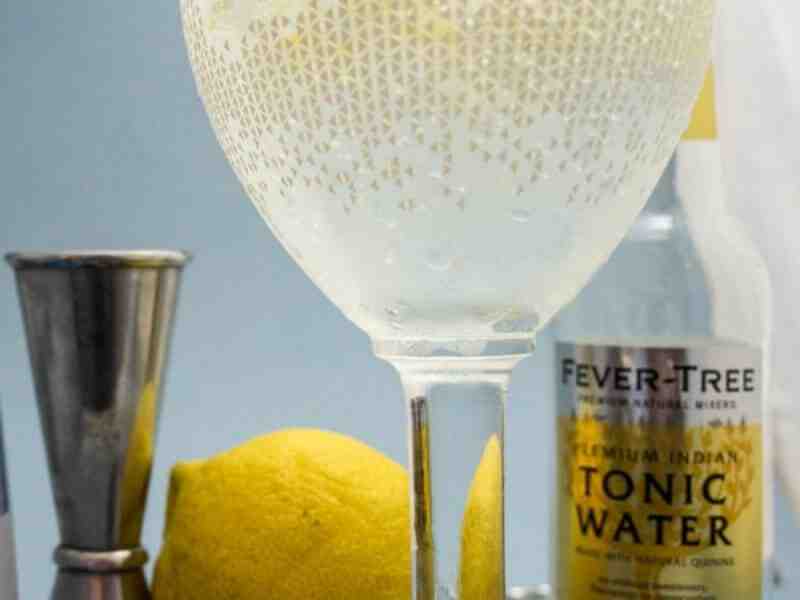 Comment bien servir un gin tonic ?